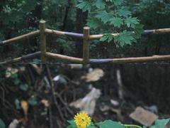 -九鼎铁刹山风景区