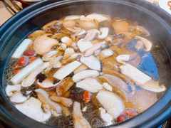 -滇野云南野生菌餐厅(陕西南路店)