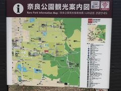 -奈良公园