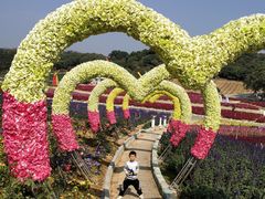 -松山湖梦幻百花洲