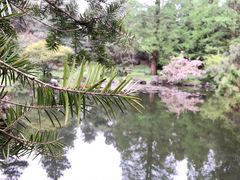 -杭州植物园