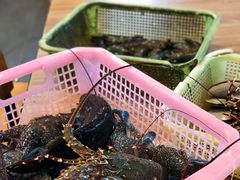 -拉威海鲜市场