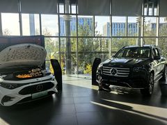 -奔驰利星行(北京花乡店)