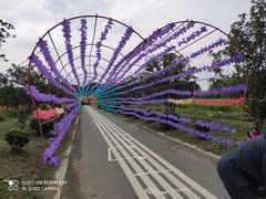 -苏州太湖西山岛开心农场