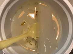 杏仁豆腐-奶酪魏(牛街总店)