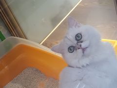 -乐宠宠物店(世纪金源店)