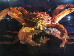 -同济大学四平路校区深海探索馆