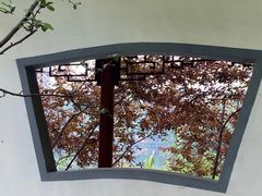 -重庆彩云湖湿地公园