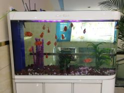 -成都军建医院·疤痕诊疗中心