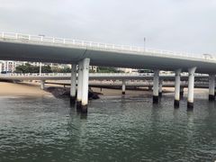 -演武大桥观景平台