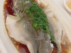 -金华安大酒楼·老牌潮菜·粤式茶点(东方国际店)