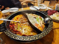 -小志家.鲜牦牛肉牛杂火锅野生菌汤锅