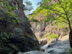 -云岫谷游猎自然风景区