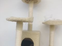 -浣熊柯尔鸭土拨鼠·电玩咖