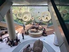 -陕西自然博物馆