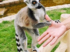 -沈阳森林动物园