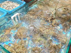 -蚝得喜海鲜(东城店)