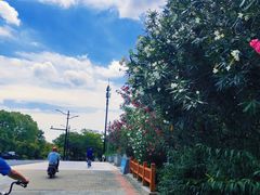 -新江湾城公园