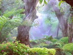 -Chom Cafe and Restaurant