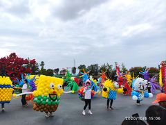 -荷兰花海