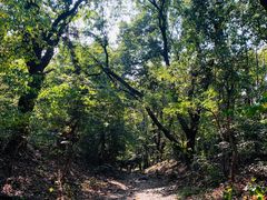 -紫金山山顶公园