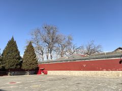 -历代帝王庙博物馆