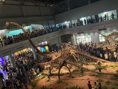 -自贡恐龙博物馆