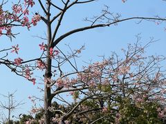 -二沙岛艺术公园
