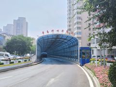 -胶州湾海底隧道