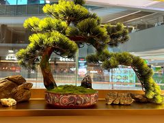 -七条鱼日本料理(远洋乐堤港店)
