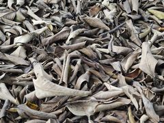 -汕头莲花山度假村温泉