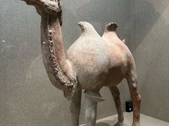 -敦煌市博物馆