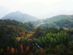 -江南天池