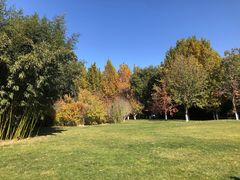 -春晖园度假酒店温泉