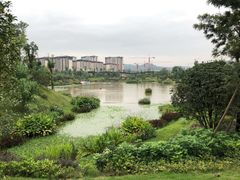 -枫香湖儿童公园