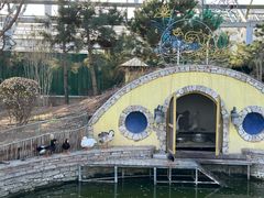 -南宫五洲植物乐园