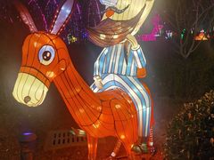 -南宫五洲植物乐园