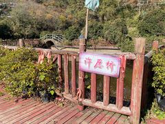 -木兰云雾山