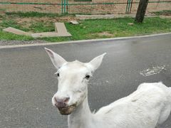 -秦皇岛野生动物园