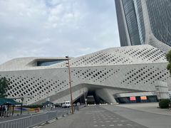 -南京眼步行桥