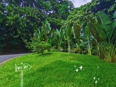 -深圳仙湖植物园