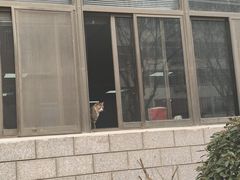 -北方饺子王·海肠捞饭·海鲜锅(山大店)