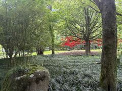 -黄公望隐居地