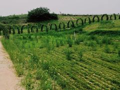 -古柏渡飞黄旅游区
