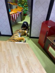 -幻贝家儿童乐园(苏州中心店)