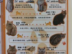 -小时光咖啡馆(北锣鼓巷店)