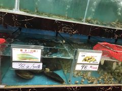 水产区-源海渔村·现捞海鲜(大角湾店)