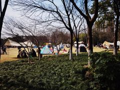 -杭州城北体育公园