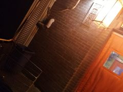 -西单翅酷(西单店)