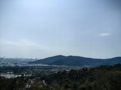 -苏州上方山国家森林公园